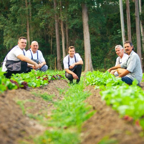 maravista-farm-chefs maravista-farm-chefs
